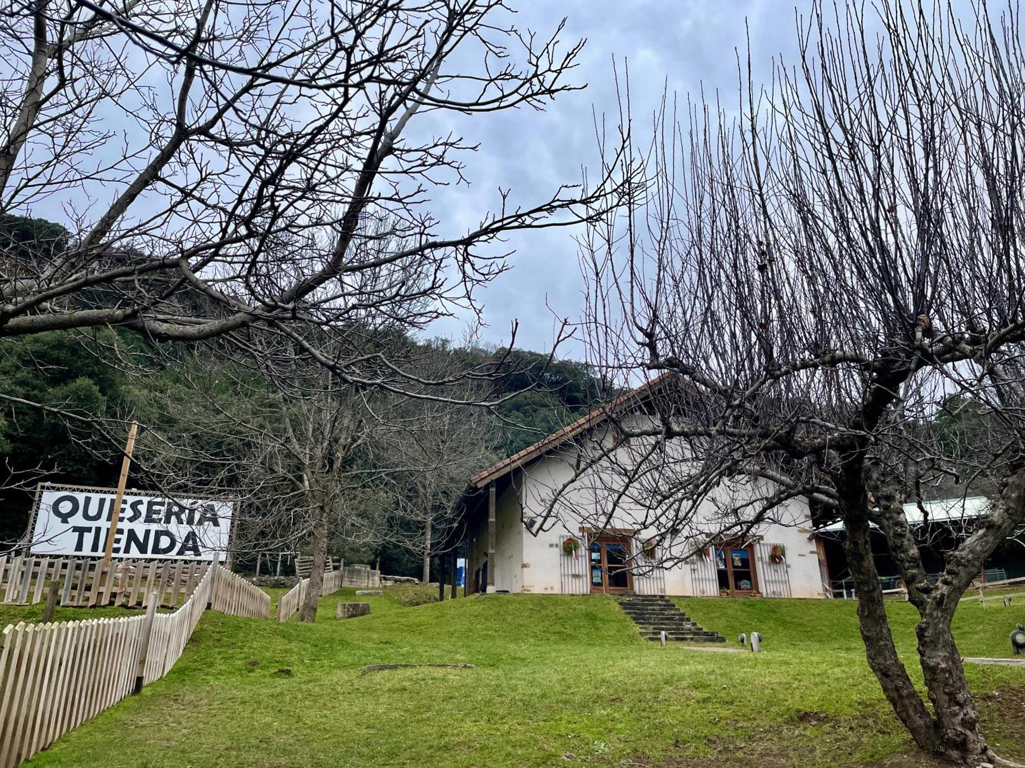 Calmfranc Atico Abuhardillado Con Vistas Al Rio Y La Montana Avistamiento De Ciervos En Canfranc Pueblo Екстериор снимка