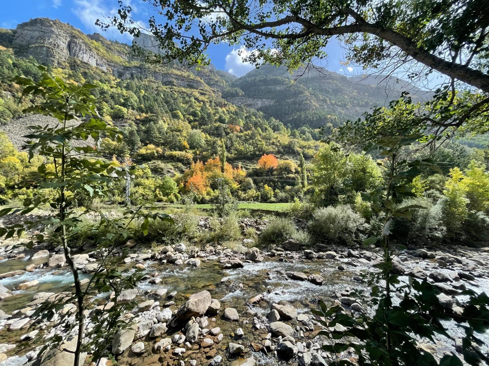 Calmfranc Atico Abuhardillado Con Vistas Al Rio Y La Montana Avistamiento De Ciervos En Canfranc Pueblo Екстериор снимка