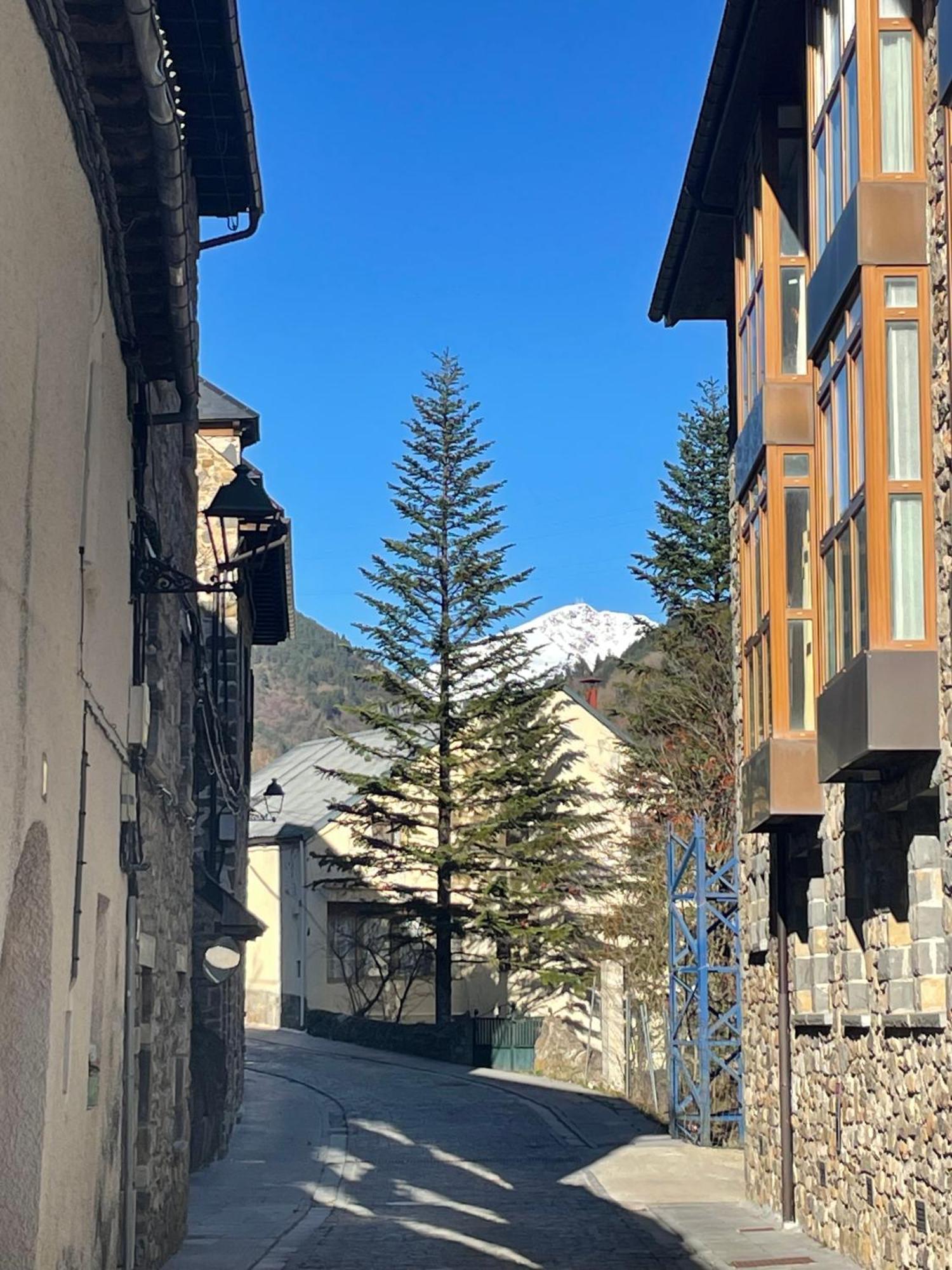 Calmfranc Atico Abuhardillado Con Vistas Al Rio Y La Montana Avistamiento De Ciervos En Canfranc Pueblo Екстериор снимка