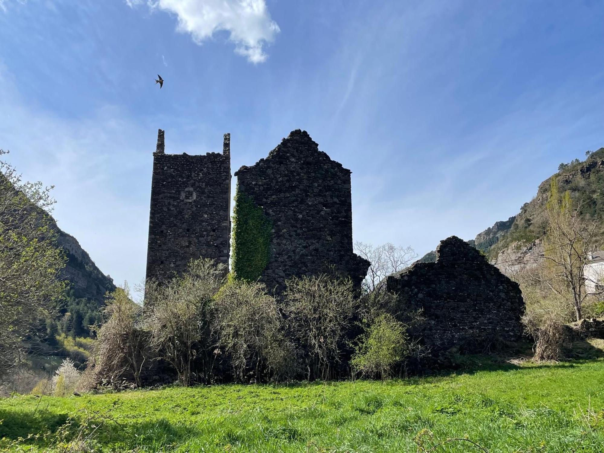 Calmfranc Atico Abuhardillado Con Vistas Al Rio Y La Montana Avistamiento De Ciervos En Canfranc Pueblo Екстериор снимка