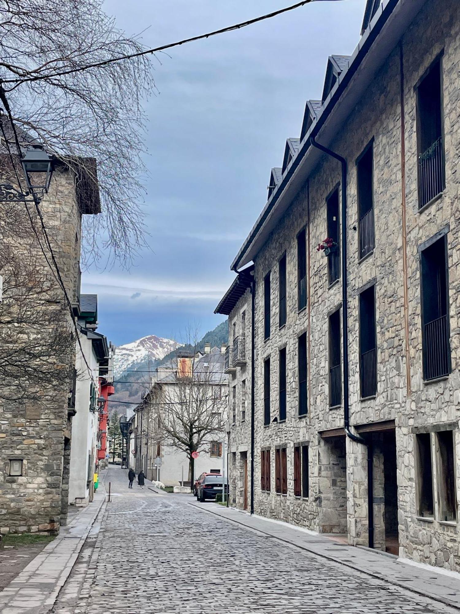 Calmfranc Atico Abuhardillado Con Vistas Al Rio Y La Montana Avistamiento De Ciervos En Canfranc Pueblo Екстериор снимка